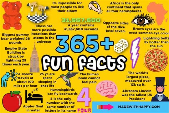 77 Amazing Facts To Make You The Most Interesting Person In The Room