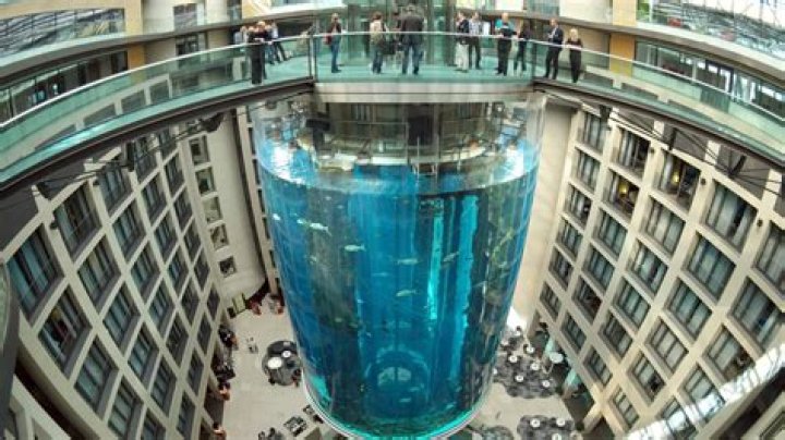 Berlin's AquaDom Tower, The World's Fishiest - And Coolest
