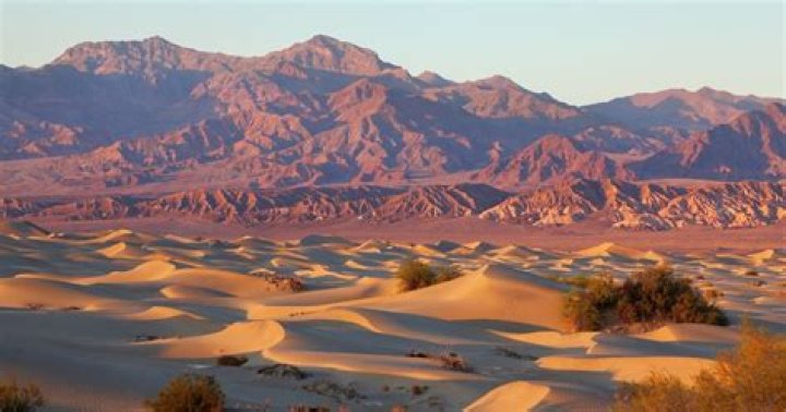 Death Valley's Most Interesting Wanderers