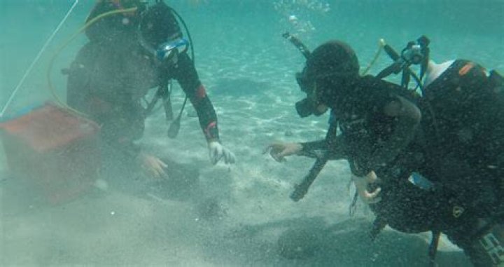 Diver Stumbles Upon Hoard Of Roman Coins Off Coast Of Italy