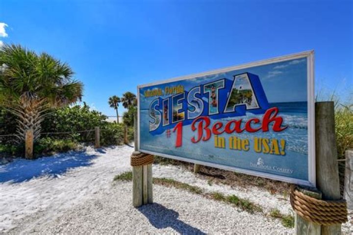 ExclusiveThe Cast of ‘Siesta Key’ Dishes Out Real-Life Advice and It’s Too Relatable