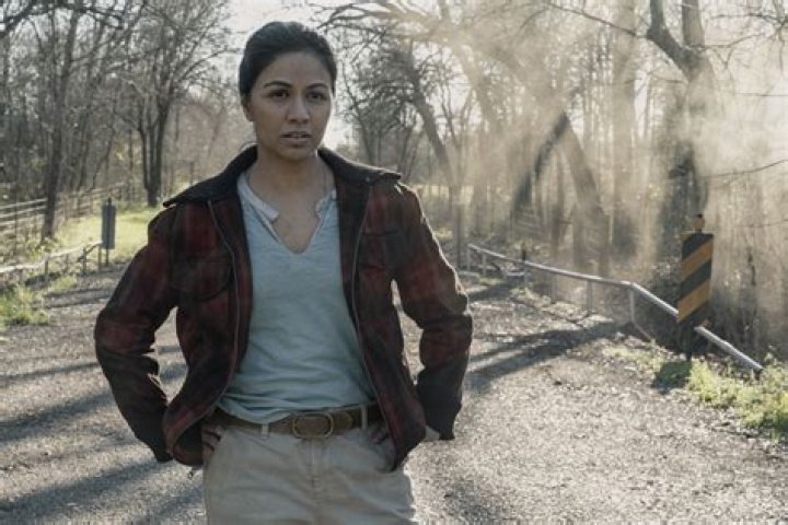 Karen David