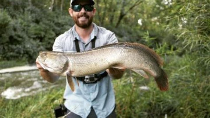 Nick (618 Fishing) Age | Wiki, Net worth, Bio, Height, Girlfriend ?