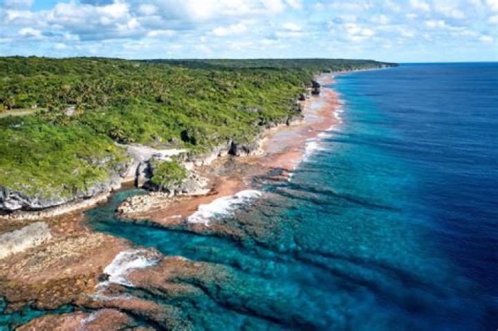 Pacific Island Nation Of Niue Mourns Trevor The Duck's Death