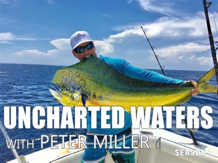 Peter Miller Uncharted Waters net worth, income and estimated earnings of Youtuber channel