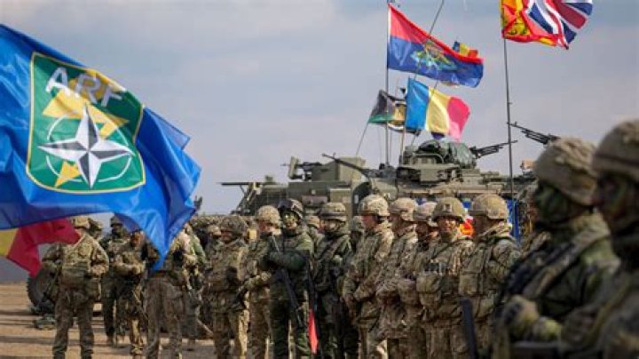 The Role of NATO in Security and Defence Issues – Celebsgraphy