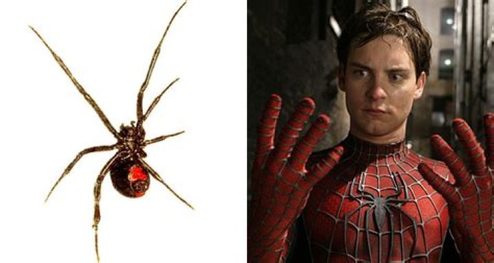 Three Kids Let Black Widow Bite Them In Hopes Of Becoming Spider-Man