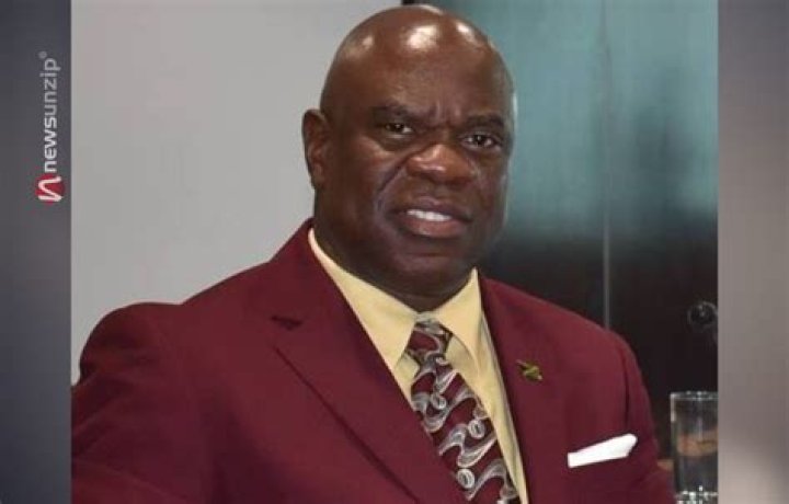 Who is Ian Wilkinson? Wiki, Biography, Family & Facts About Miss Kitty Jamaica’s Husband