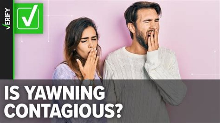 Why Do We Yawn And Why Is Yawning Contagious?