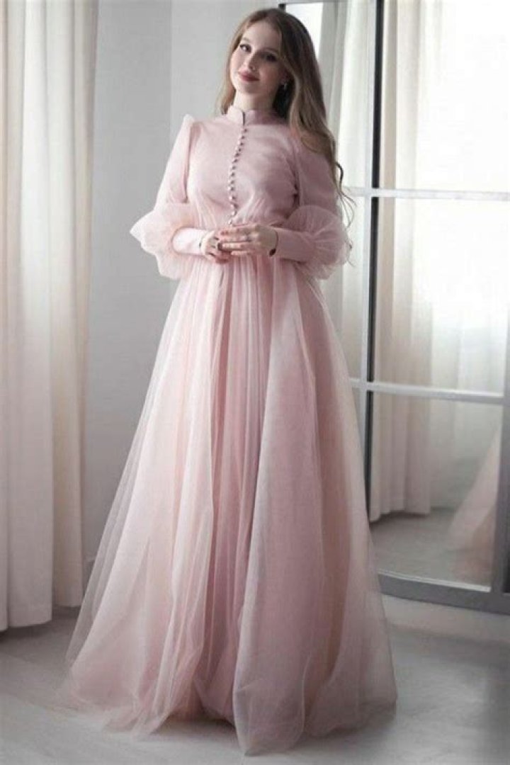 Zendaya Stuns in a Baby Pink Gown With a Plunging Neckline at an Event in Paris — See Photos!